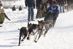 Lenk 2012 SM